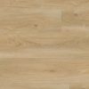 adventure vinyl plank
