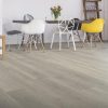 graphite revwood