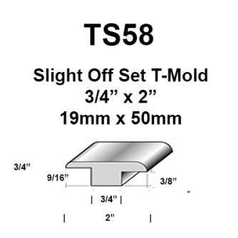 Slight Offset T Mold