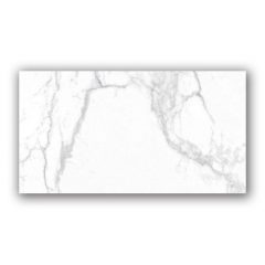 Verona 12×24 Porcelain Polished